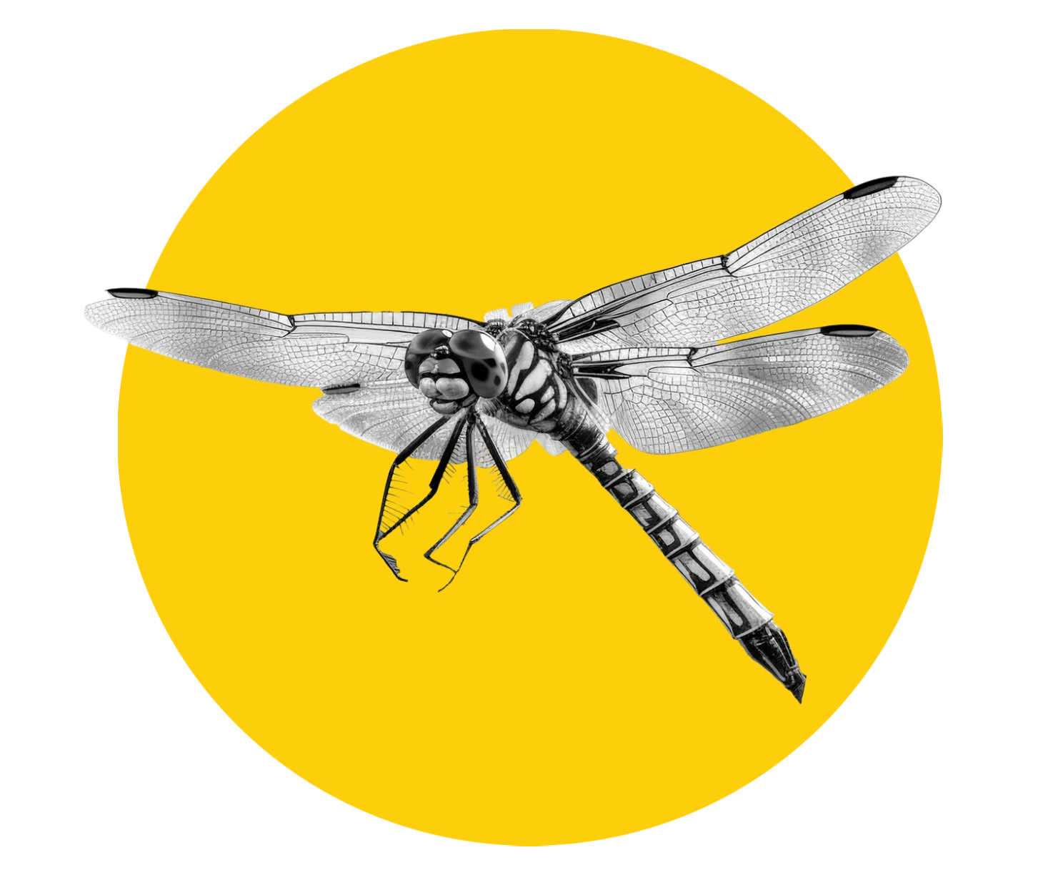 For an agriculture that regenerates both soil and the economy